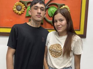 Veriaandleo